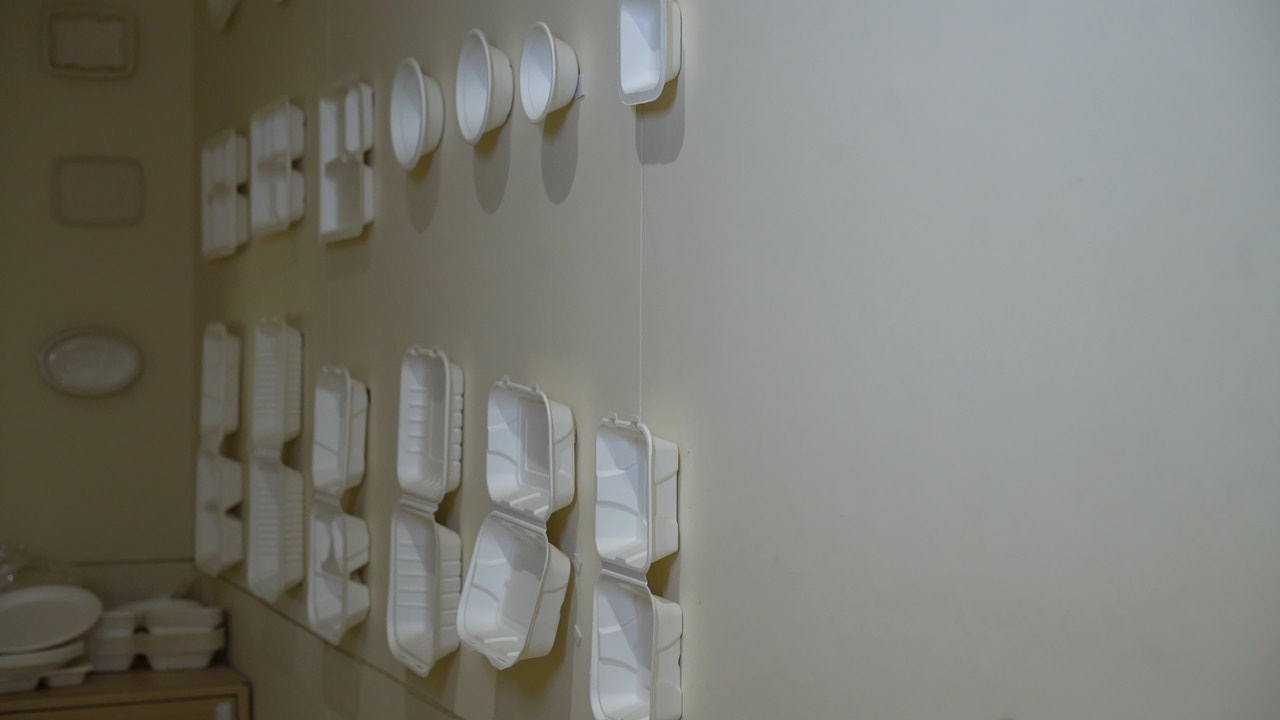 Compostable bagasse plates collection