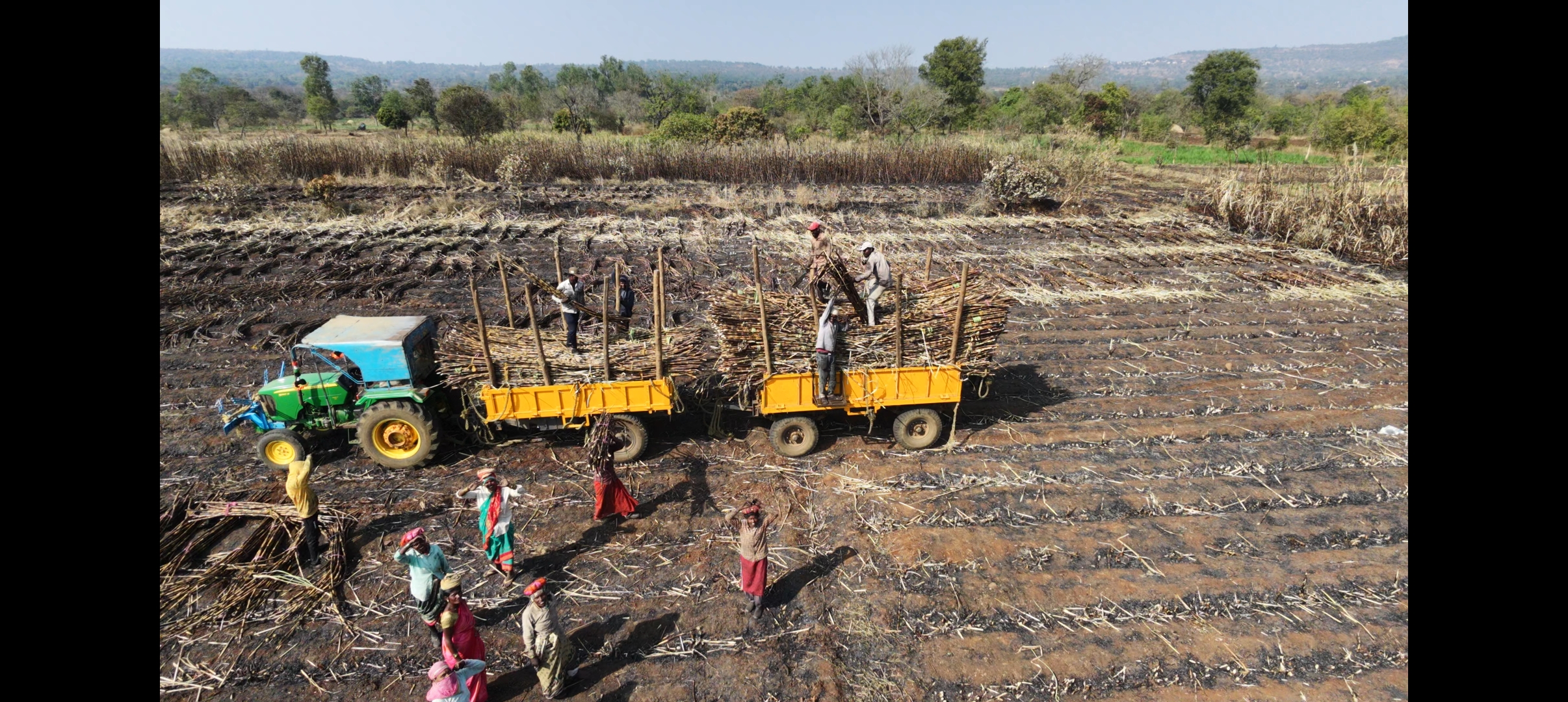 Sustainable raw materials
